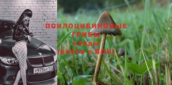 бошки Арсеньев